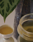 精選古樹白茶系列 Tealf: Wellness Ritual For Body, Mind & Space