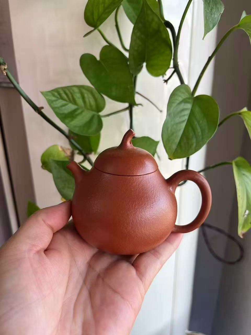 大紅袍朱泥紫砂壺｜初學者功夫茶壺