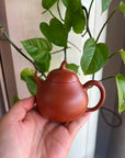大紅袍朱泥紫砂壺｜初學者功夫茶壺