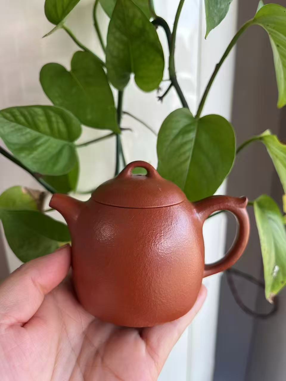 大紅袍朱泥紫砂壺｜初學者功夫茶壺