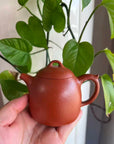 大紅袍朱泥紫砂壺｜初學者功夫茶壺