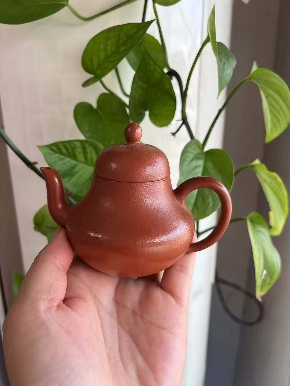 大紅袍朱泥紫砂壺｜初學者功夫茶壺